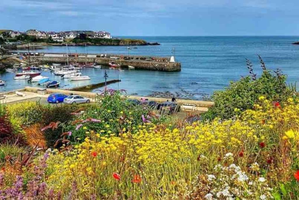 Lovely Two Bed Home In Cemaes, Anglesey Exteriér fotografie